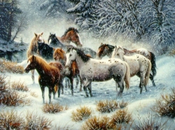 HORSES IN WINTER SNOW