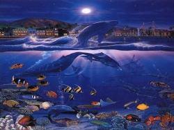 ISLANDS TREASURES