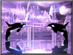 Crystal Orcas