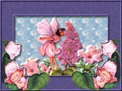 Fairy Pretty