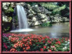 Falls and Flowers
