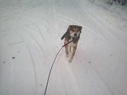 jan2002.zip