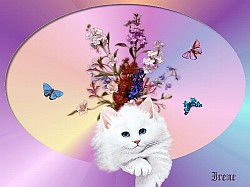Hello Kitty on a rainbow background