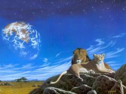 Lion Country