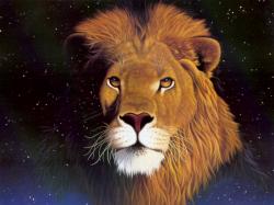 Lions Face