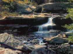 Little Falls