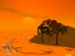 Lost In The Desert