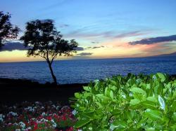 Maui Sunset