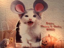 Meowyween Wallp.
