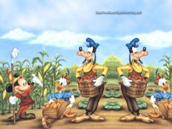 Harvesting Season for MICKEY & Friends