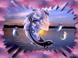 Misc  Sea