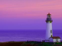 Morning Harbor