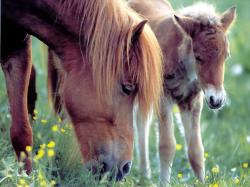 mother and baby