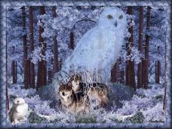 Nat Blue Forest