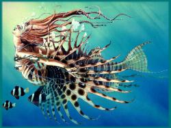 Ocean Tiger Fairy