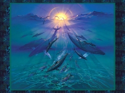 Pacific Sun