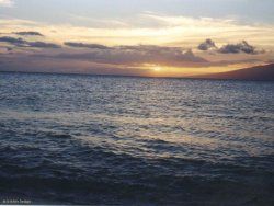 Pacific Sunset