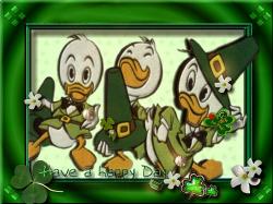 Paddy Duckies02