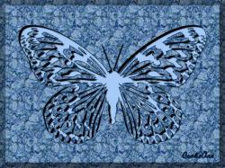 Papillon bleu