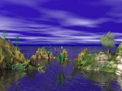Paradise Cove