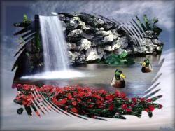 Peaceful Place