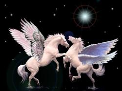 Pegasus Chalenge