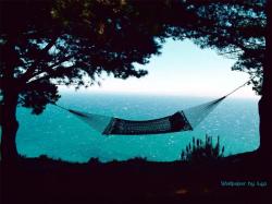 The Perfect Place