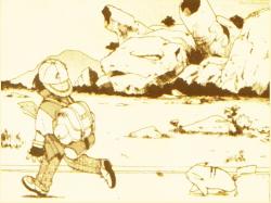The Pokemon Rock