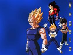 princevegeta