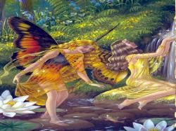 rainforest fairies