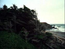 rocky beach