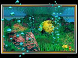 3D Shallow Waters