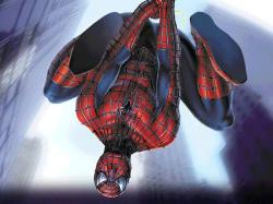 Spider-Man the Movie Wallpaper 3