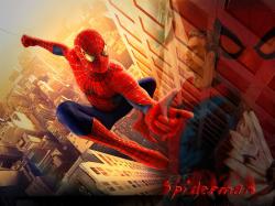 Spider Mania Sav.