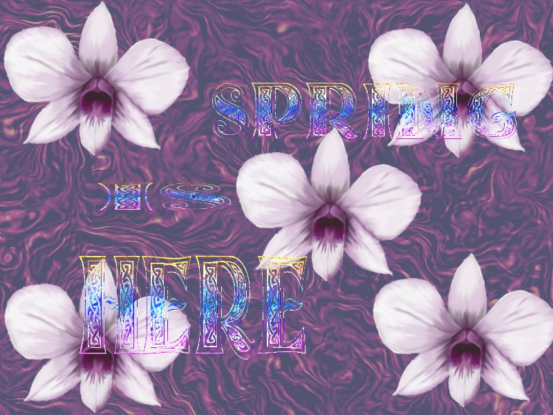 Orchid Spring