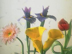 Spring Boquet