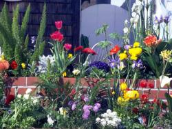 spring garden