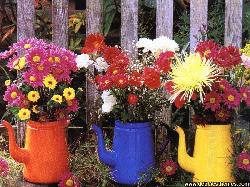 Spring has Sprung