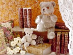 storytime bears
