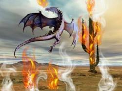 Summer Fire