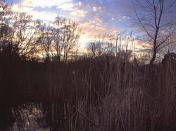 sunset 5