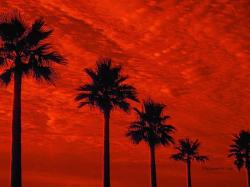 Sunset Strip