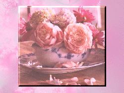 Sweet Summer Scents