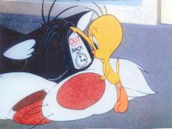 Sylvester Are You There