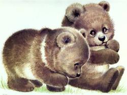 The Grizzly Bear