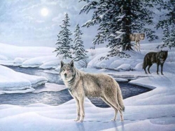 THE WOLF SURVIVES