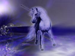 This Beautiful Unicorn