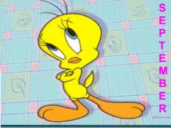 Tweety Bird For September