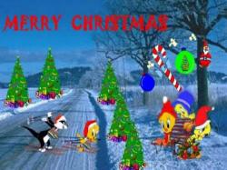 Tweetys Winterland