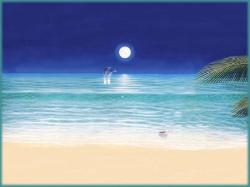 Two Moon Dolphin